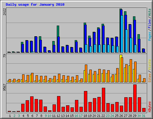 Daily usage for January 2010
