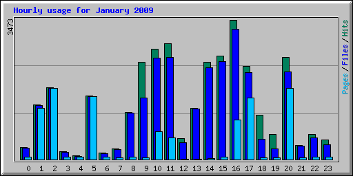 Hourly usage for January 2009