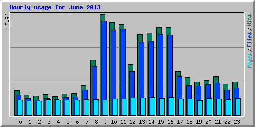 Hourly usage for June 2013