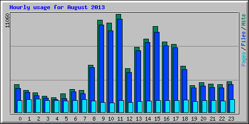Hourly usage for August 2013