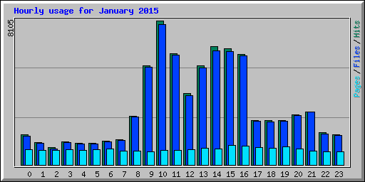 Hourly usage for January 2015