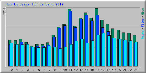 Hourly usage for January 2017