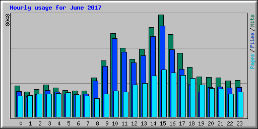 Hourly usage for June 2017